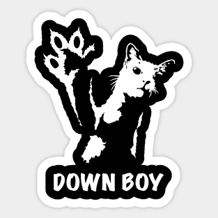 Tough No Messing Cat Down Boy MotorManiac Sticker